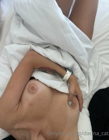 darina cat pornstar adult pic