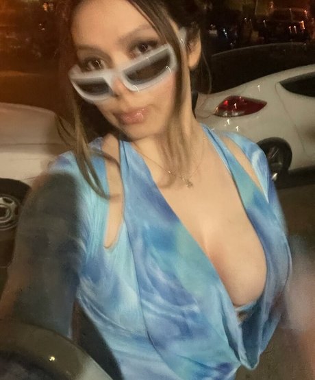 Adept perfect model img