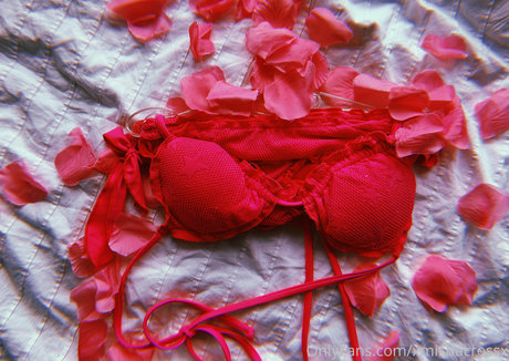 xmishacrossx sexy pornstar pic