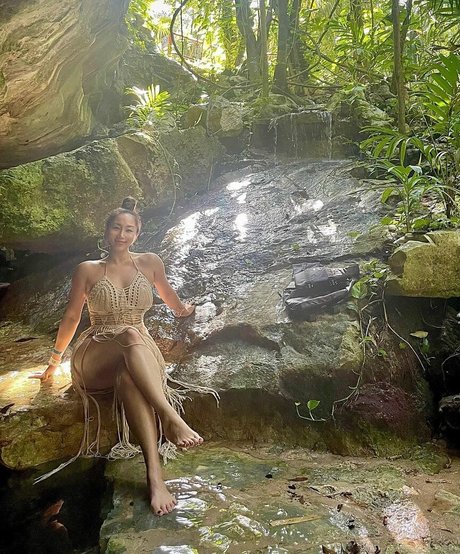 Dajinism model image