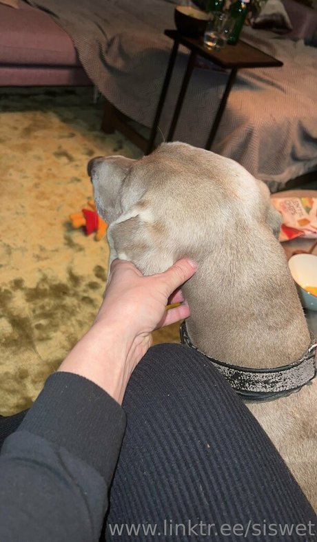 giant onlyfans erotic images