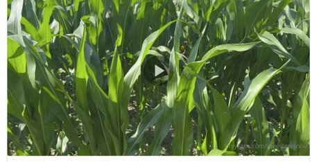 ass spread onlyfans art nude img