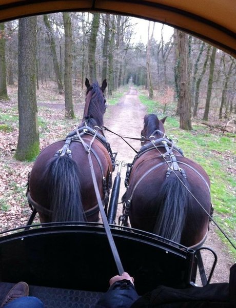 siswet19 nude star photos