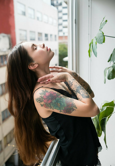 prinsexh star free photo