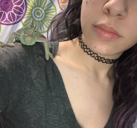 Lexi Lynx Profile pic