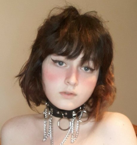 korvid snd model free image