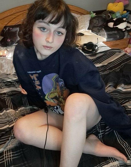 korvid snd best star archive