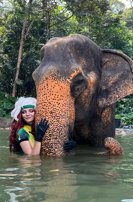 AGflower Cosplay beautiful actress img