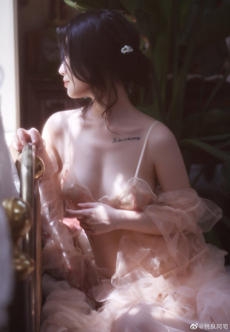 Taoliangazhai adult star pictures