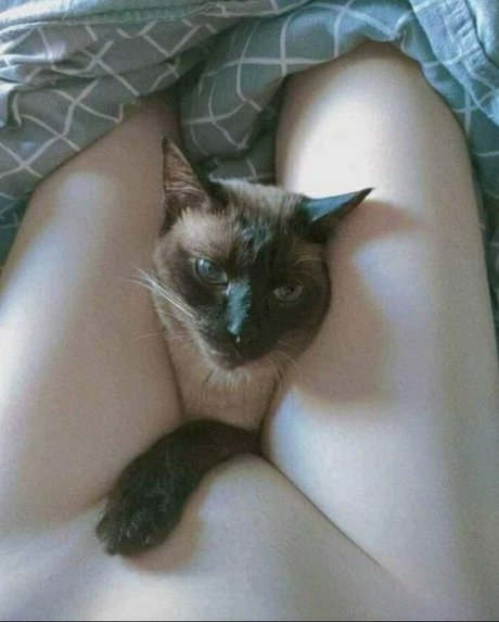 Yuusachii star art photo