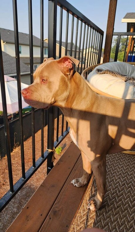 S and K nude actress pic