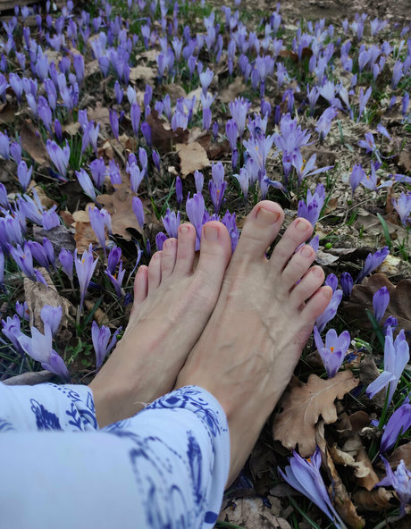 pawg redhead onlyfans nudes archive