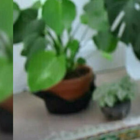 jaybaesun sex pornstar gallery