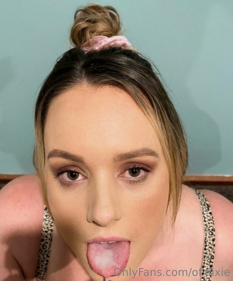 of dixie nice pornstar pics