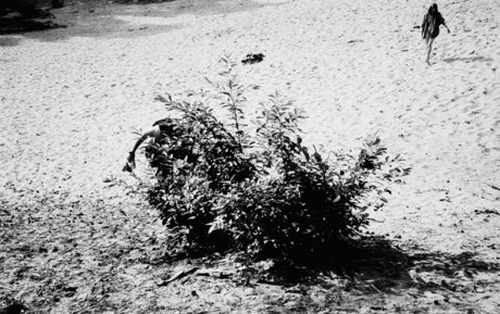 idontwannaklesch exclusive star image