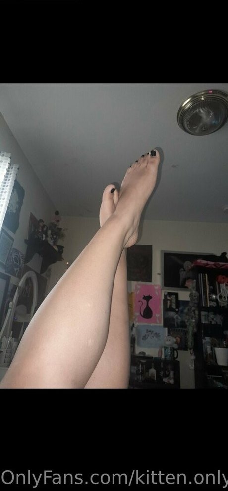 kitten onlyfans com nice star galleries