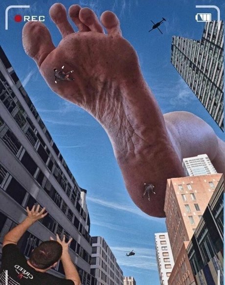 mastersize22 star pretty picture