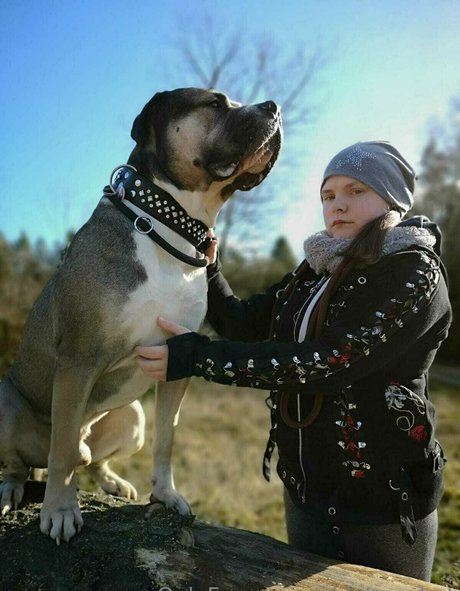 nidagonehot star porn image