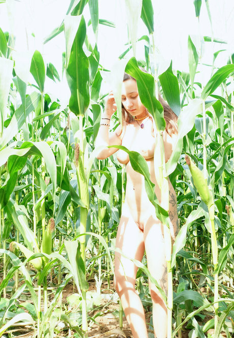 milavisions model sexy pictures