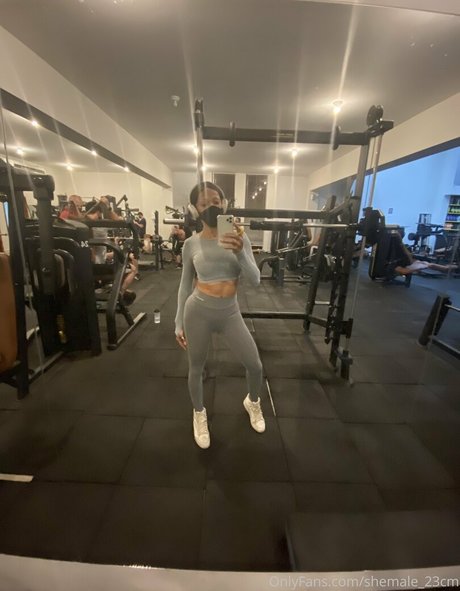 shemale 23cm model art img