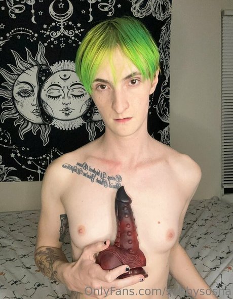 sunnyyy cat star top picture