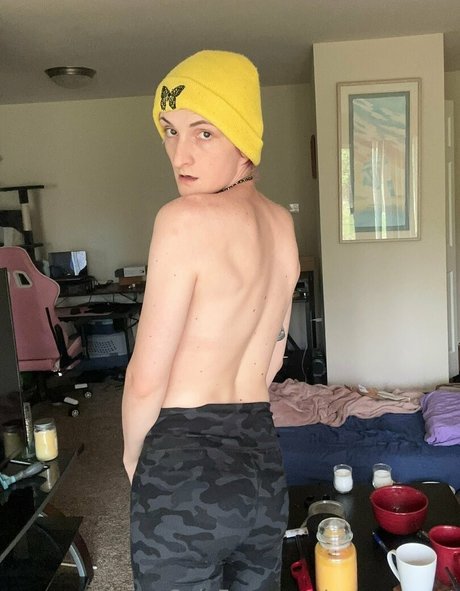 sunnyyy cat Profile pic