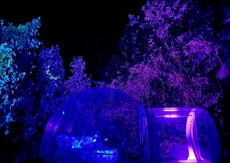 Kristychaaan pornstar xxx picture