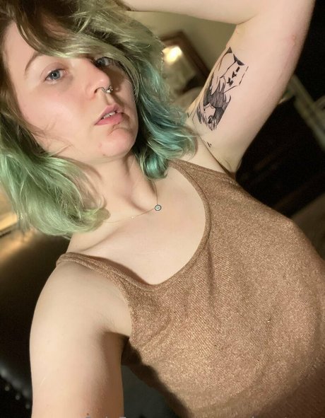 msc adventures star free archive