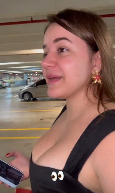 Laurinhafeer art star galleries