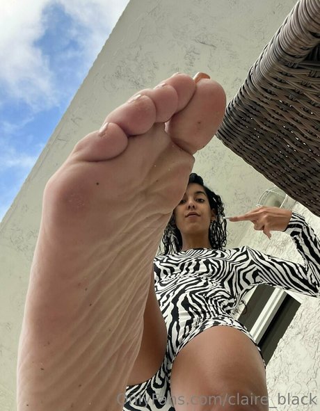 claire black nice star gallery