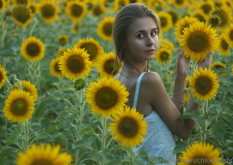 Chloe Leafs pornographic actress pics