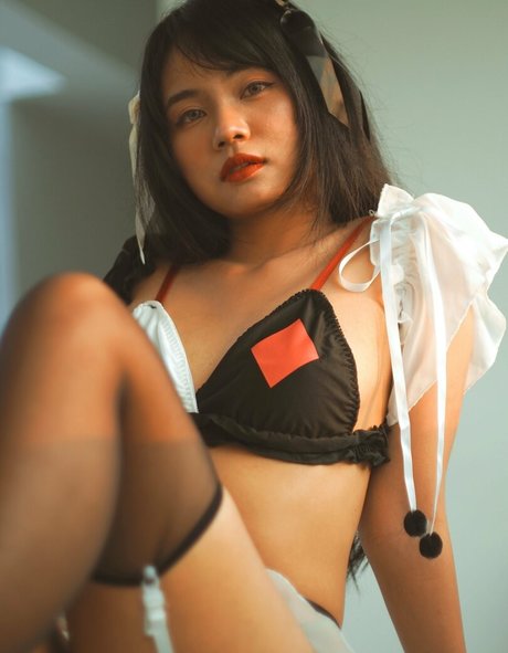 Darkrabbithouse model top image