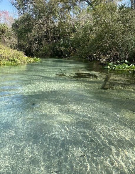 yuffieyulan high quality model gallery