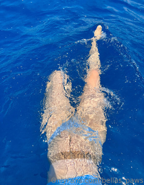 bellas paws star pornographic photos