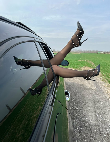 bellas paws beautiful star photo