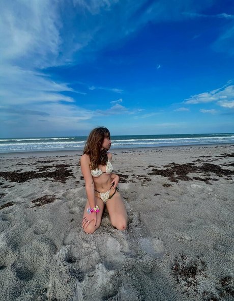 brycesgfelle top star galleries