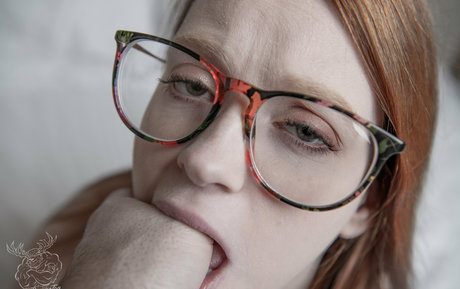 buckremington star free archive