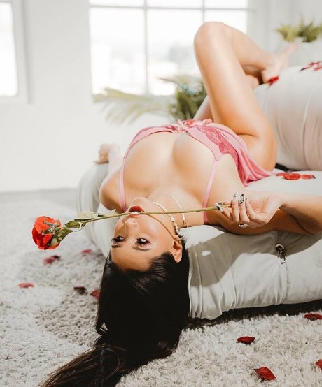 samfrank hd model archive