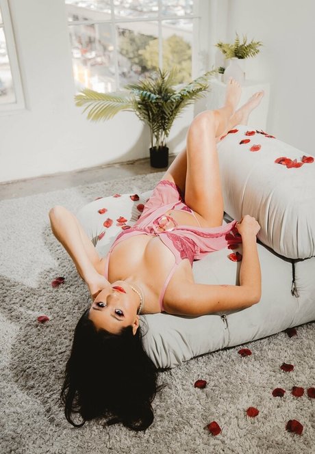 samfrank star high quality pics