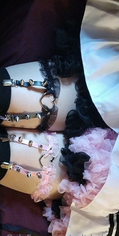 xalt babex perfect pornstar image