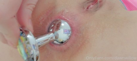 dawnwillow beautiful pornstar img