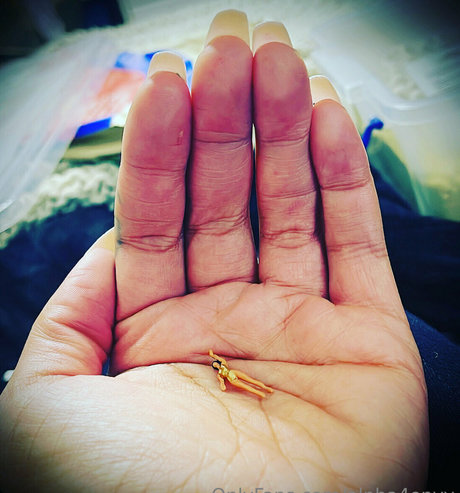 alpha4envy pornstar hot archive