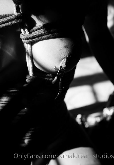 carnaldreamstudios sexy actress pic