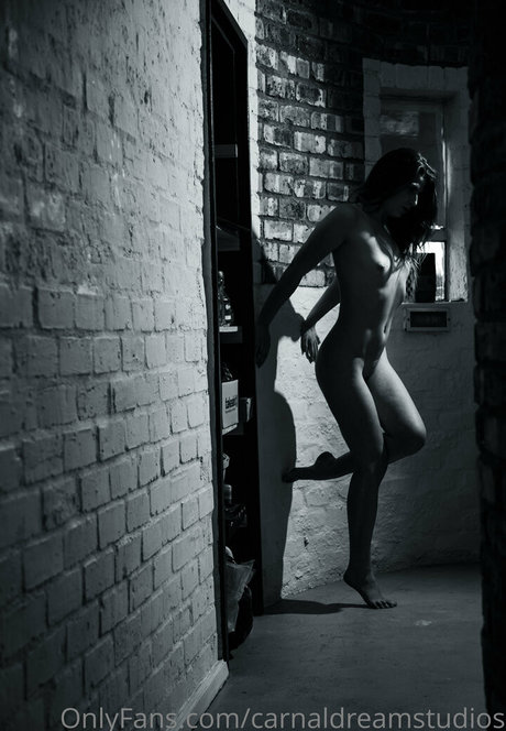 carnaldreamstudios pornstar xxx picture