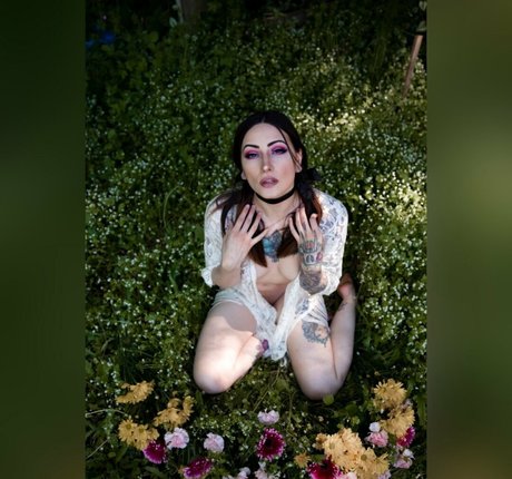 renegadephotography exclusive star photo