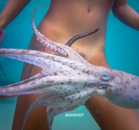 TheNakedIsland free star image