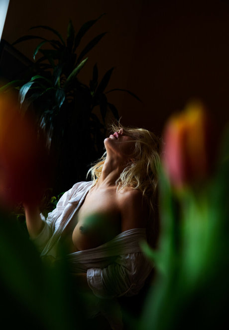 Ivy Wolfe adult actress pictures