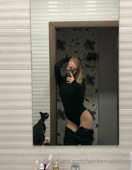 whiterrabitfree perfect pornstar photo