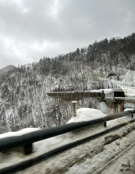 waywardme adult model photos