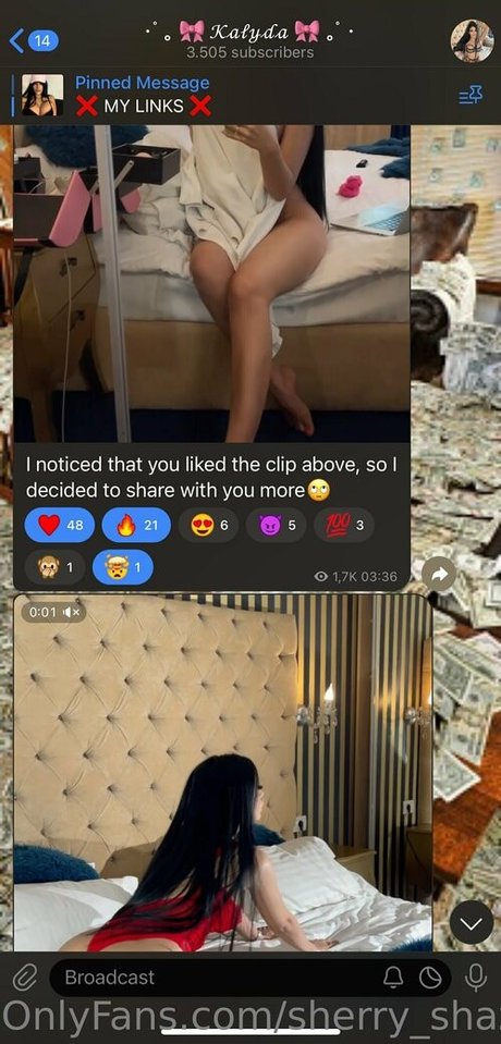 sherry shaz_ best pornstar archive